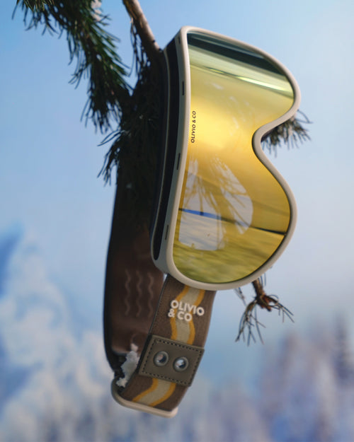 Adult Ski Goggles Polar Gray
