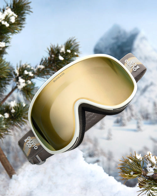 Adult Ski Goggles Polar Gray