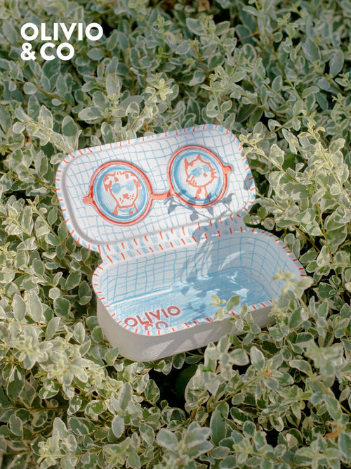Olivio & Co DIY case packaging